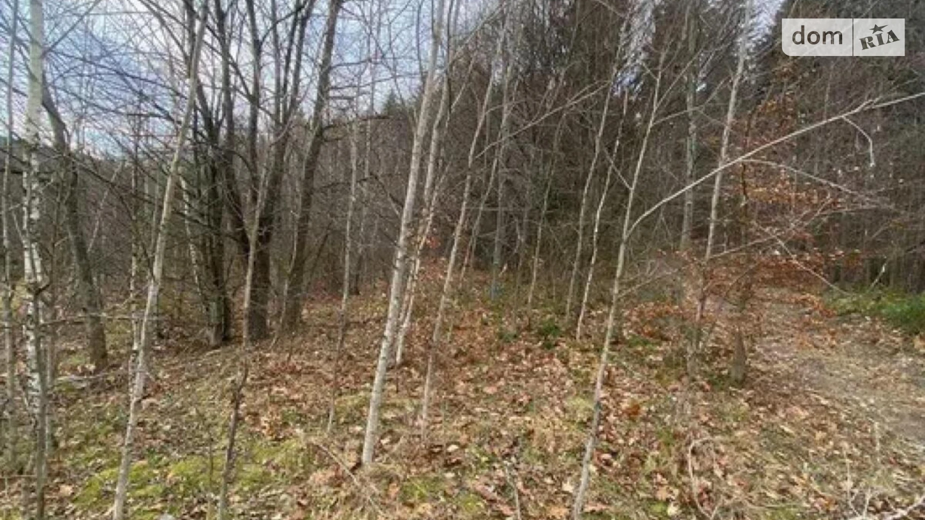 Продається земельна ділянка 8 соток у Львівській області, цена: 8000 $ - фото 4