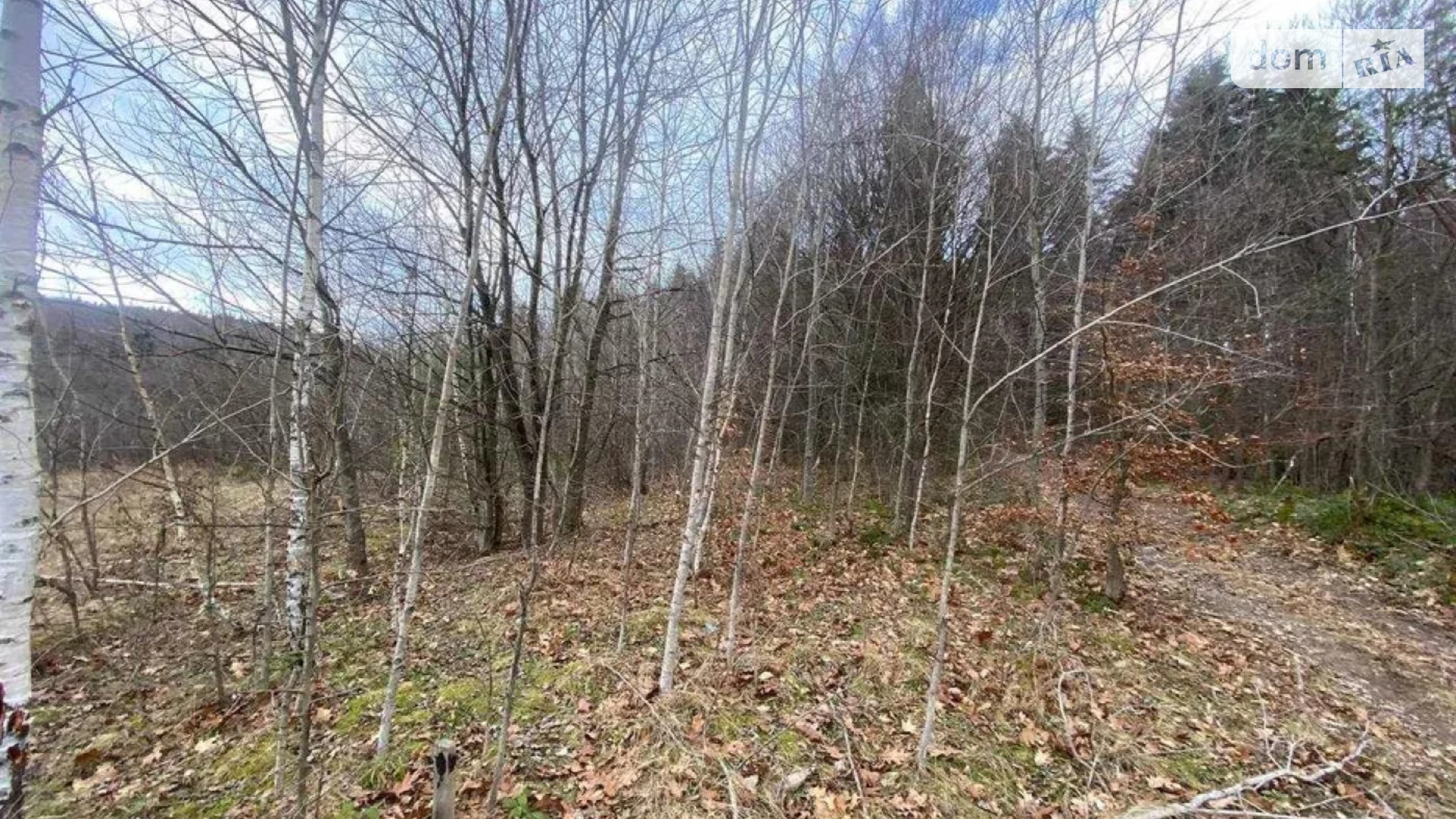 вул. Бандери Борислав, цена: 8000 $ - фото 2