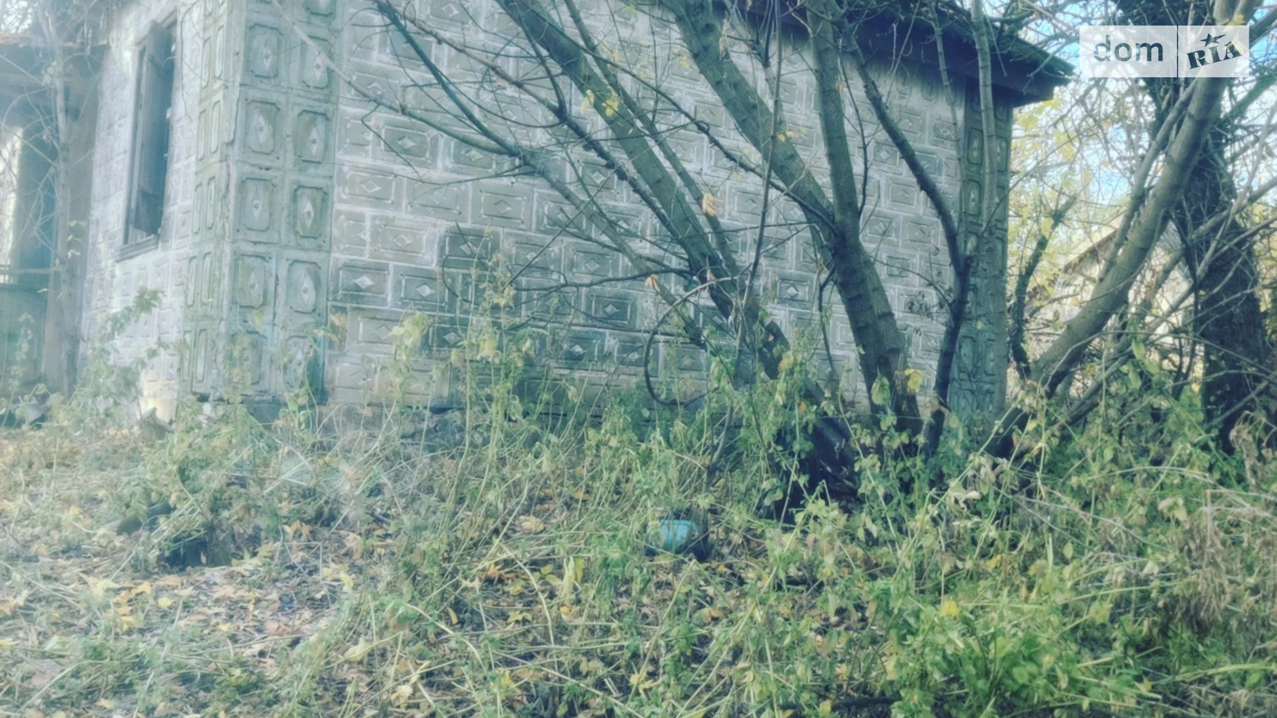 Продается земельный участок 60 соток в Кировоградской области, цена: 50000 грн - фото 3