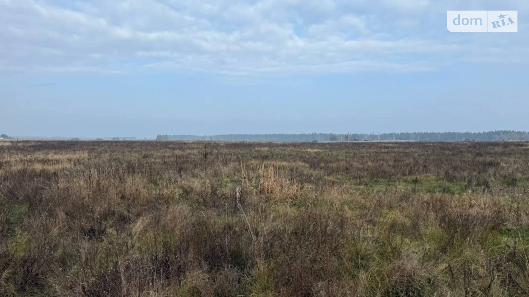 Михайловка-Рубежовка (Ирпень), цена: 15000 $ - фото 3