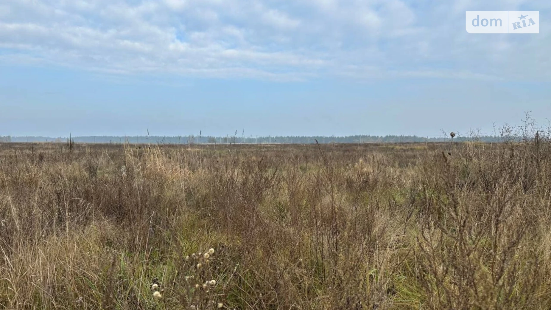 Михайловка-Рубежовка (Ирпень), цена: 15000 $ - фото 2