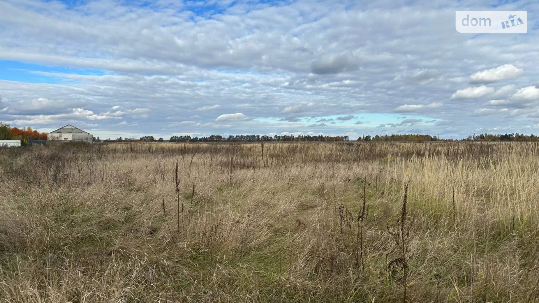 Продается земельный участок 146.33 соток в Киевской области, цена: 38000 $ - фото 2