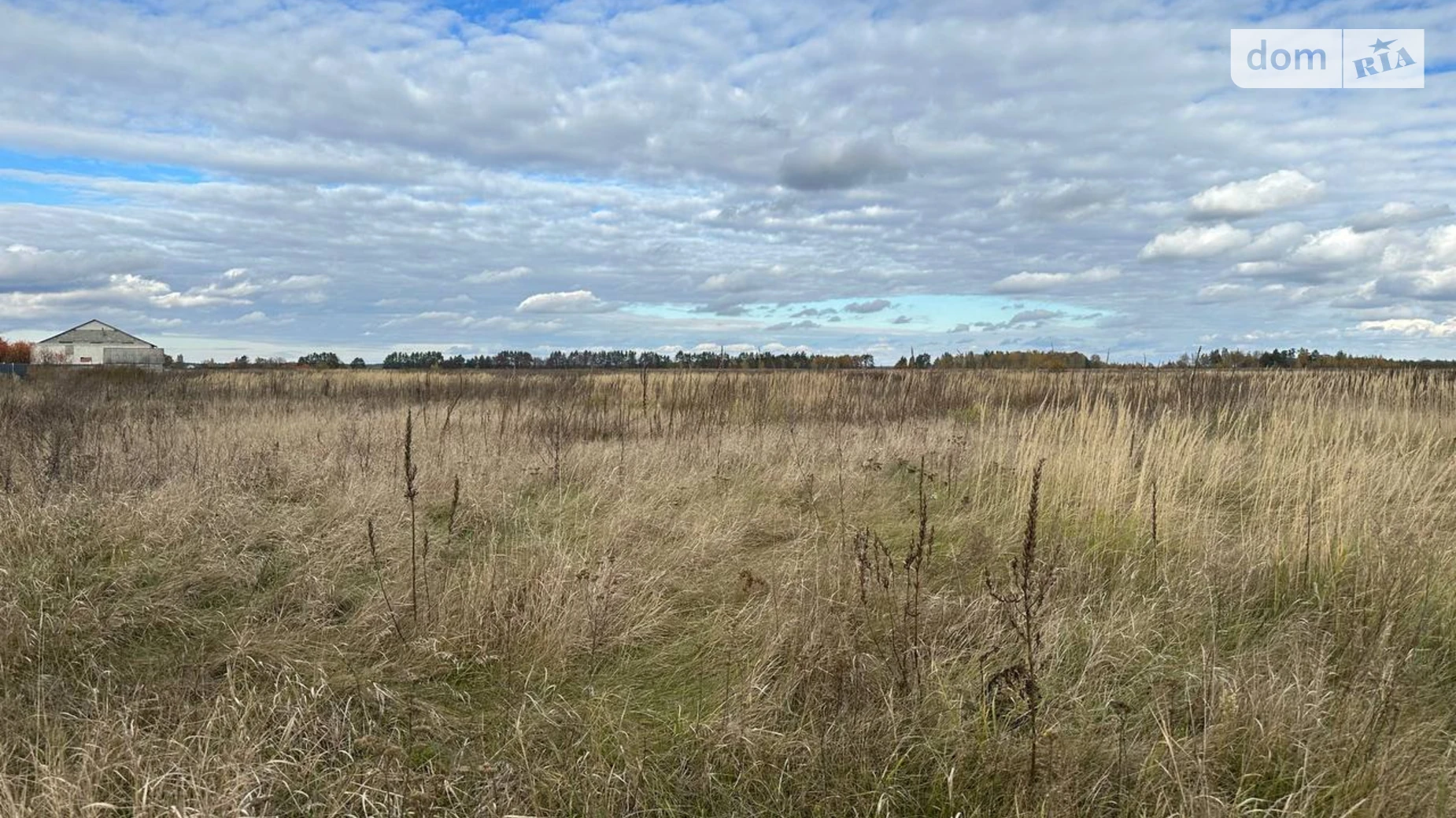 Продается земельный участок 146.33 соток в Киевской области, цена: 38000 $ - фото 3