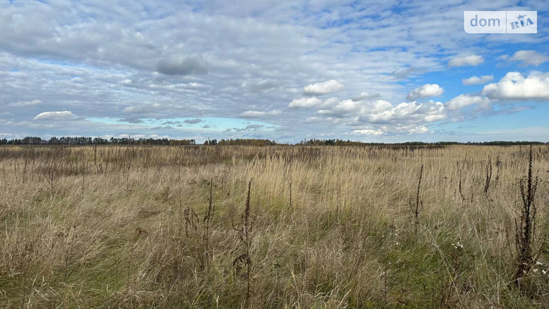 Продается земельный участок 146.33 соток в Киевской области, цена: 38000 $ - фото 4