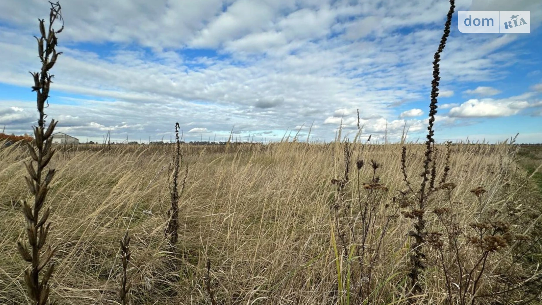 Продается земельный участок 146.33 соток в Киевской области, цена: 38000 $ - фото 5