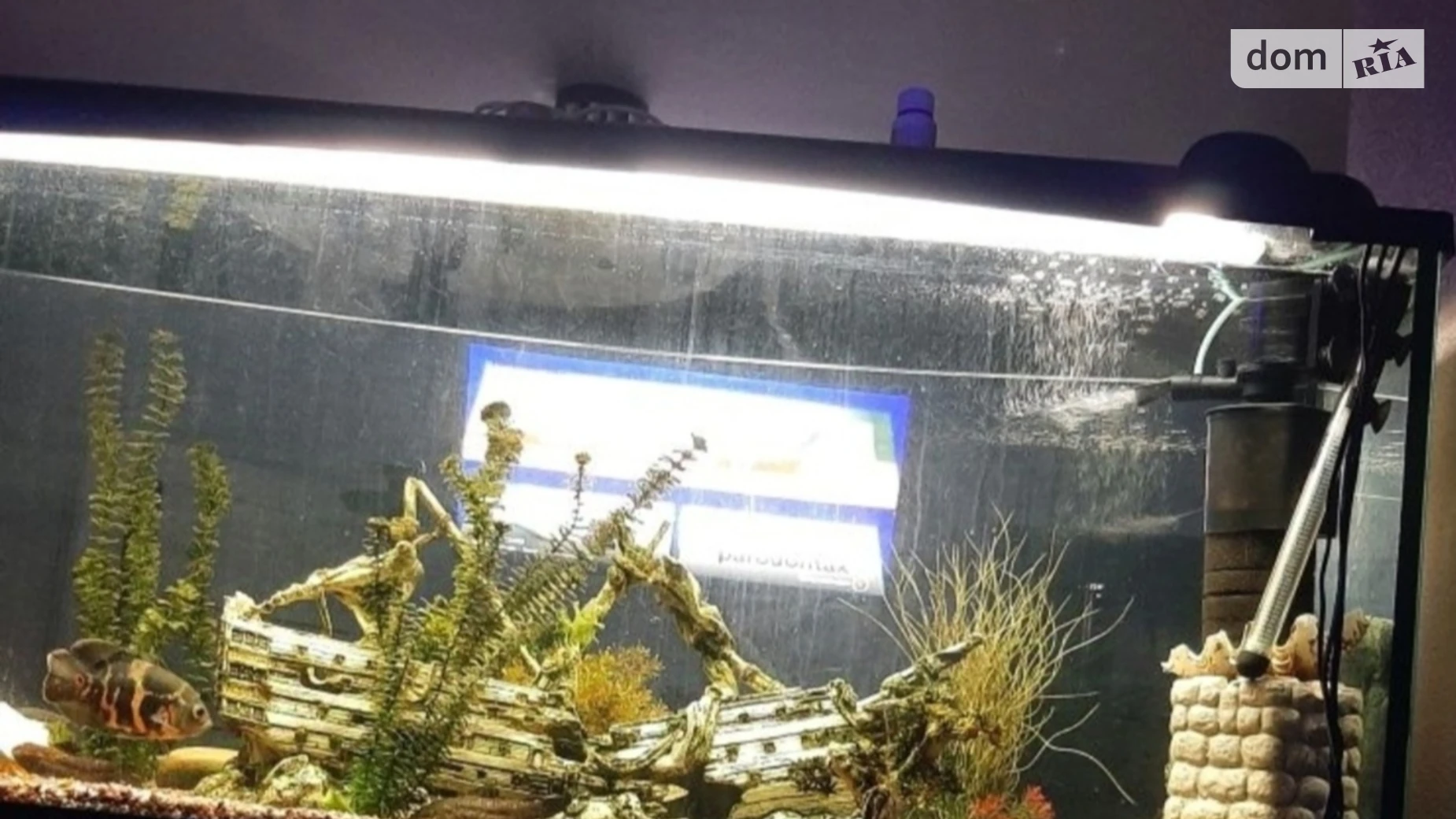 Продается часть дома 80 кв. м с верандой, цена: 85000 $ - фото 2