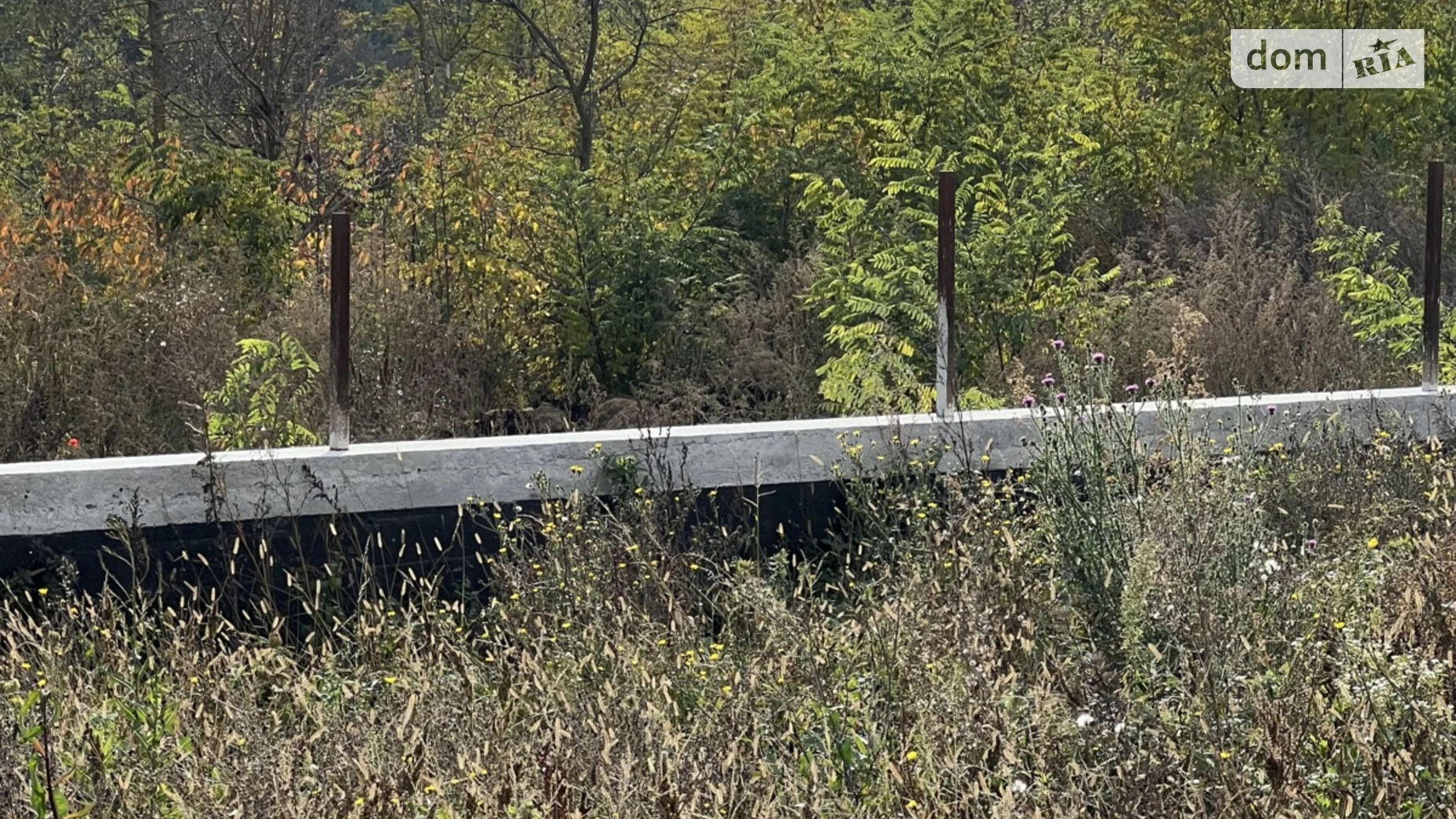 мас. Благодатный Прибужское (Шкуринци), цена: 100000 $ - фото 4