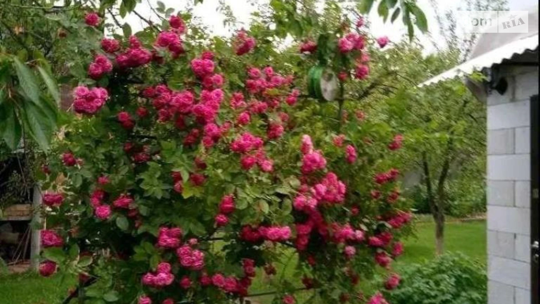 Продается дом на 2 этажа 140 кв. м с террасой, цена: 70000 € - фото 4