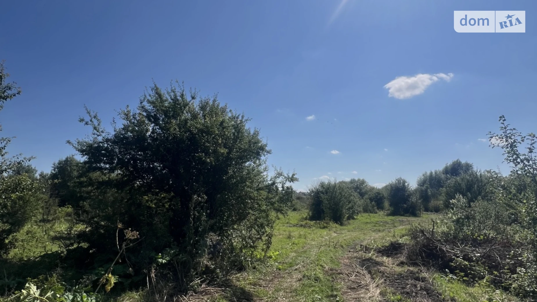 Продается земельный участок 48 соток в Хмельницкой области, цена: 72000 $ - фото 5