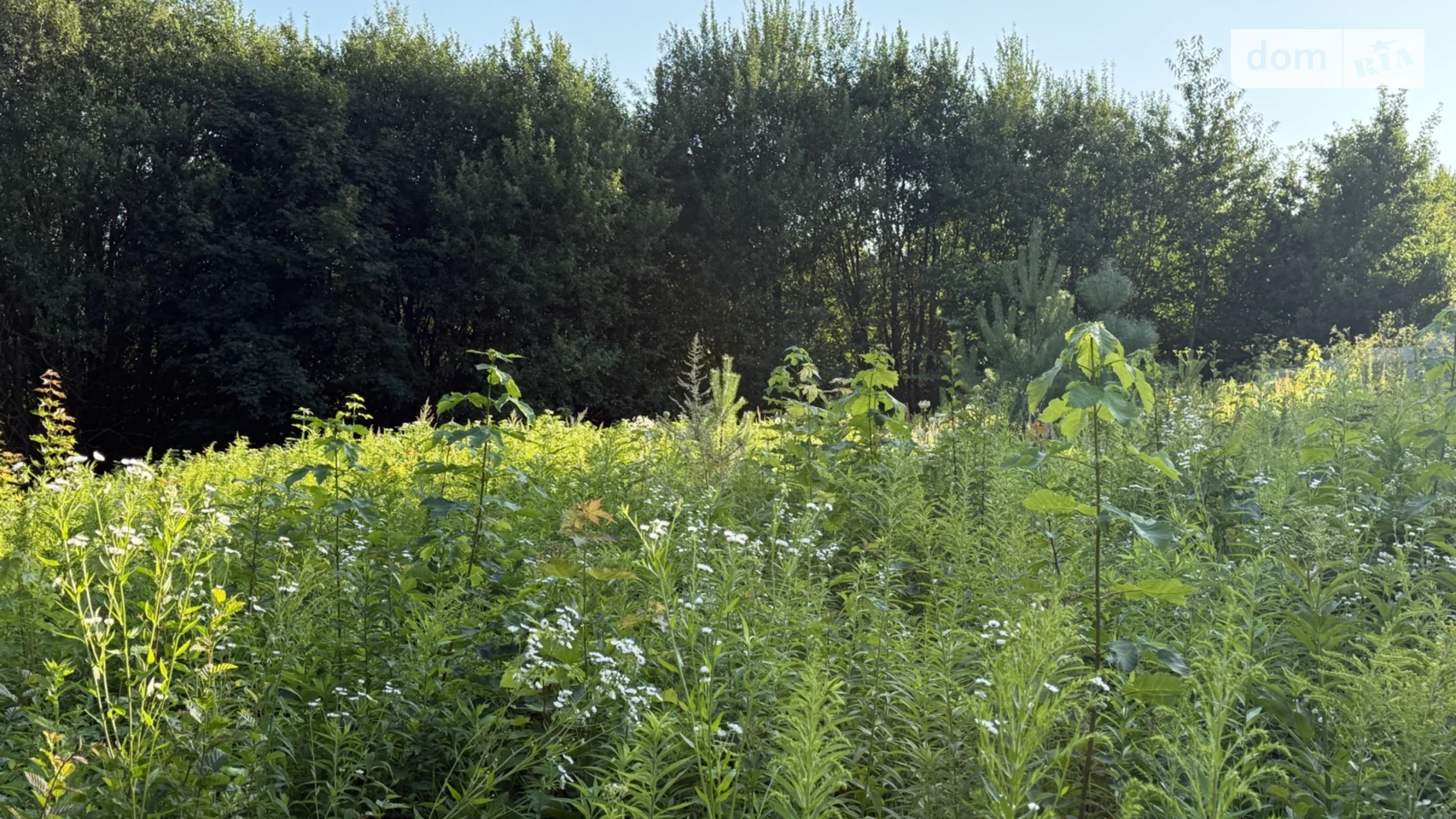 Продается земельный участок 10 соток в Хмельницкой области, цена: 38000 $ - фото 2