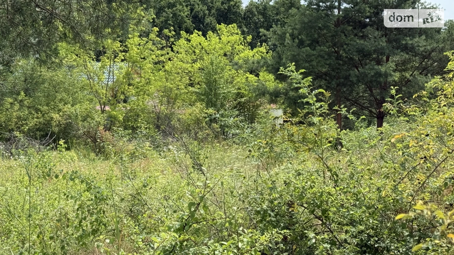Продается земельный участок 10 соток в Хмельницкой области, цена: 38000 $ - фото 5