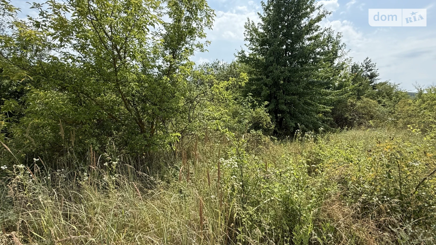 Продается земельный участок 10 соток в Хмельницкой области, цена: 38000 $ - фото 3