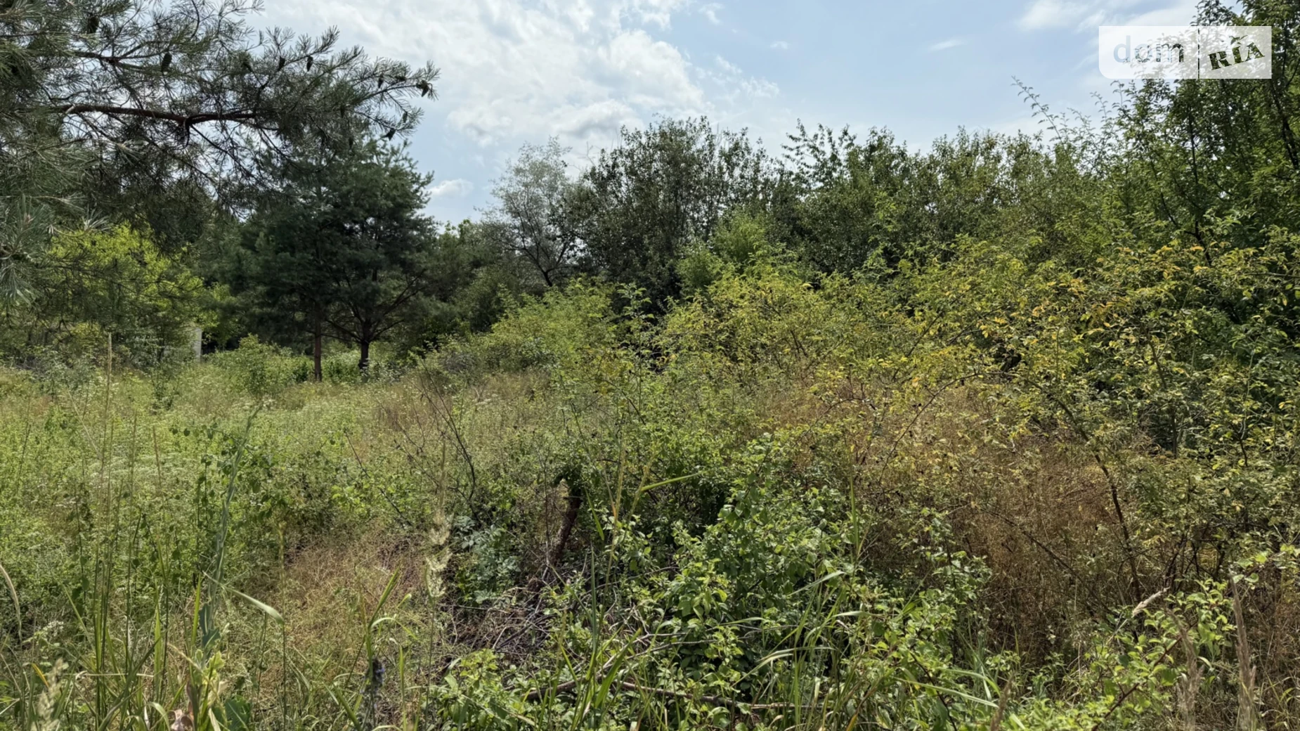 Продается земельный участок 10 соток в Хмельницкой области, цена: 38000 $ - фото 4