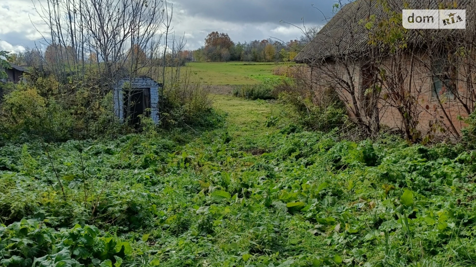 Продается земельный участок 25 соток в Винницкой области, цена: 11000 $ - фото 5