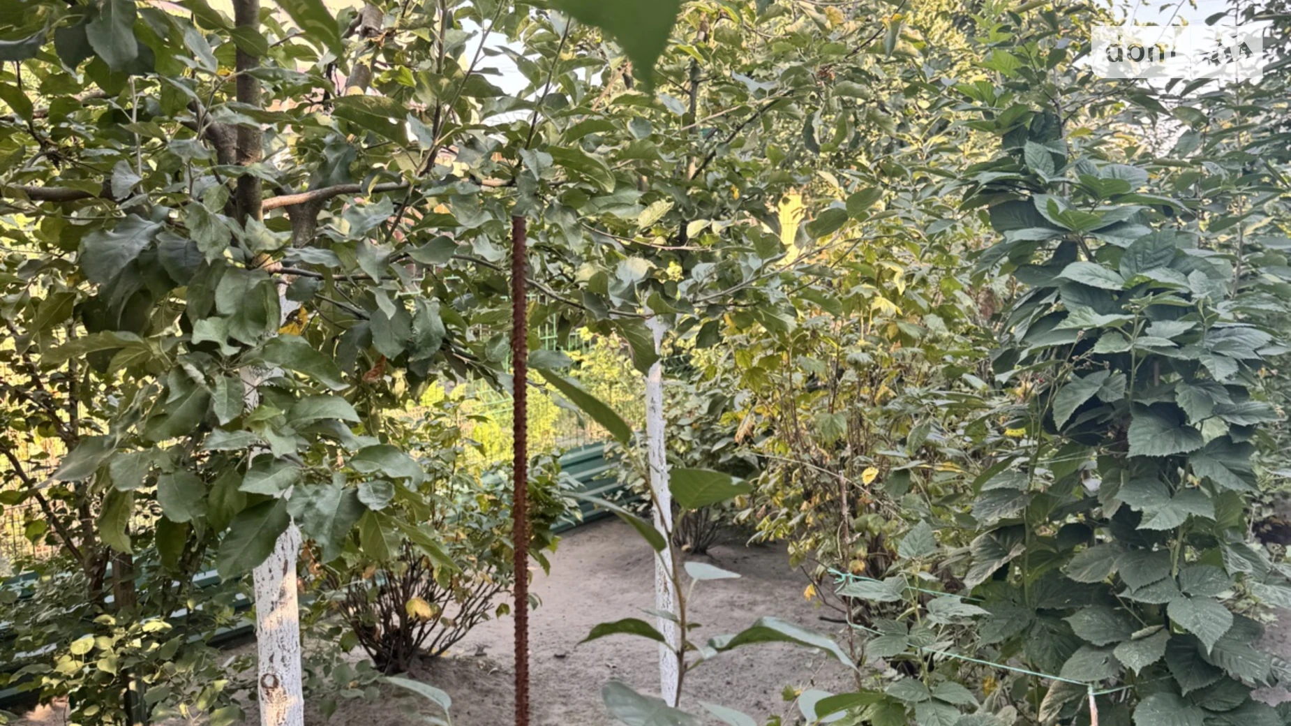 Продається частина будинку 57.1 кв. м з ділянкою, цена: 50000 $ - фото 3