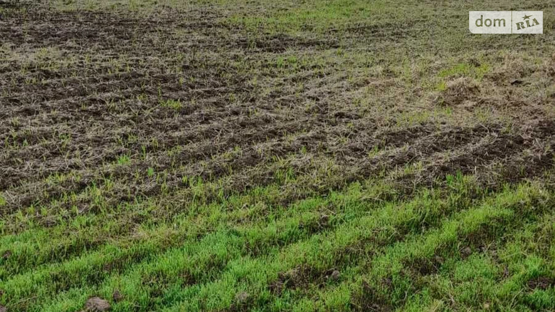 Здається в оренду земельна ділянка 18.3312 соток у Одеській області, цена: 60318 грн - фото 2