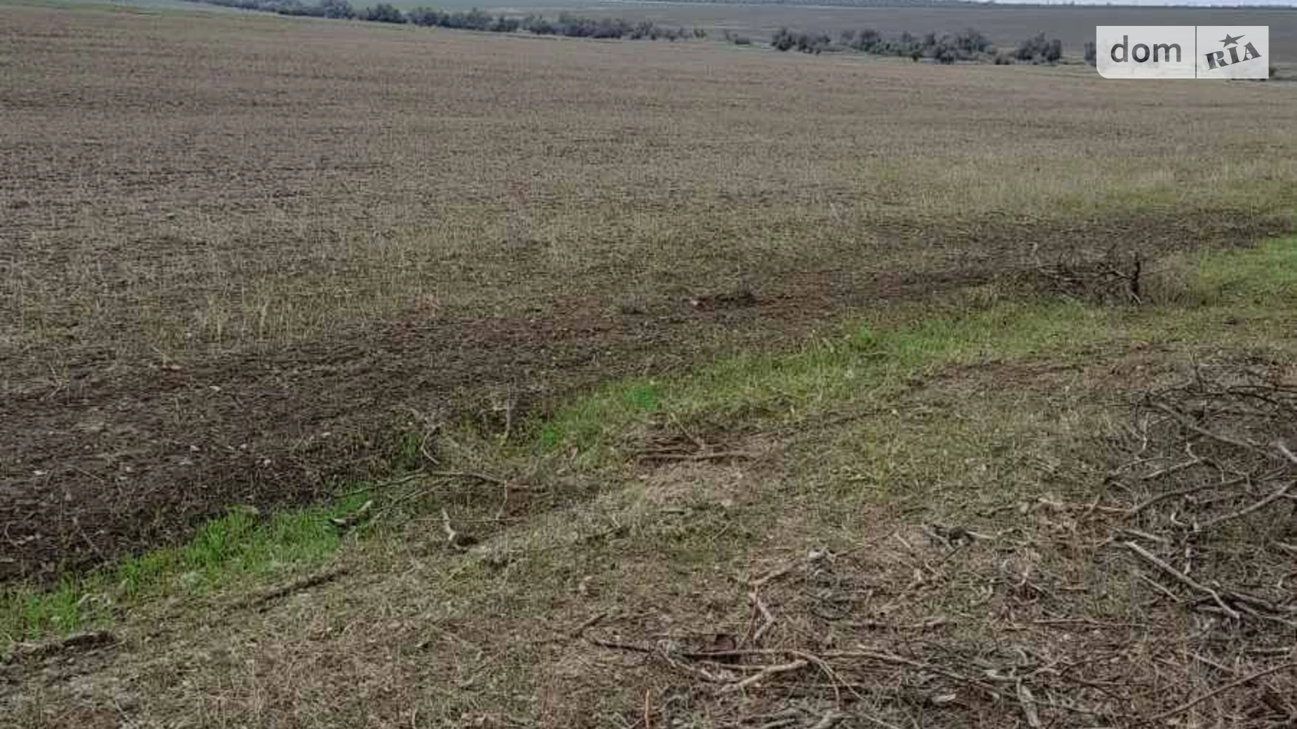 Здається в оренду земельна ділянка 18.3312 соток у Одеській області, цена: 60318 грн - фото 3