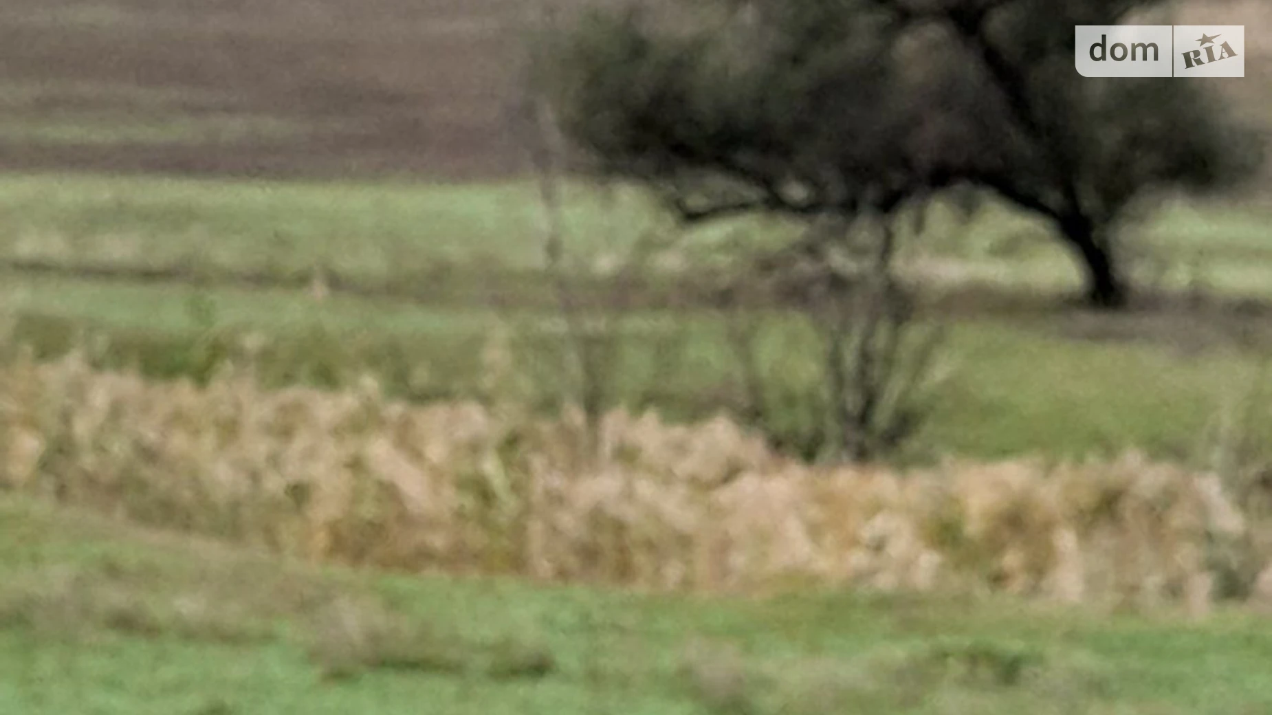 Здається в оренду земельна ділянка 17.8687 соток у Одеській області, цена: 55893 грн - фото 2