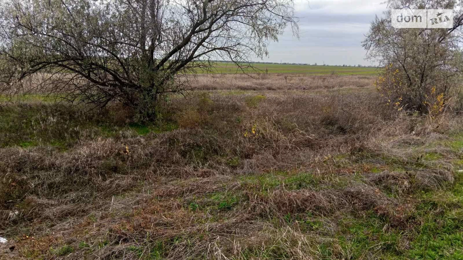 Здається в оренду земельна ділянка 0.4 соток у Одеській області, цена: 224942 грн - фото 2