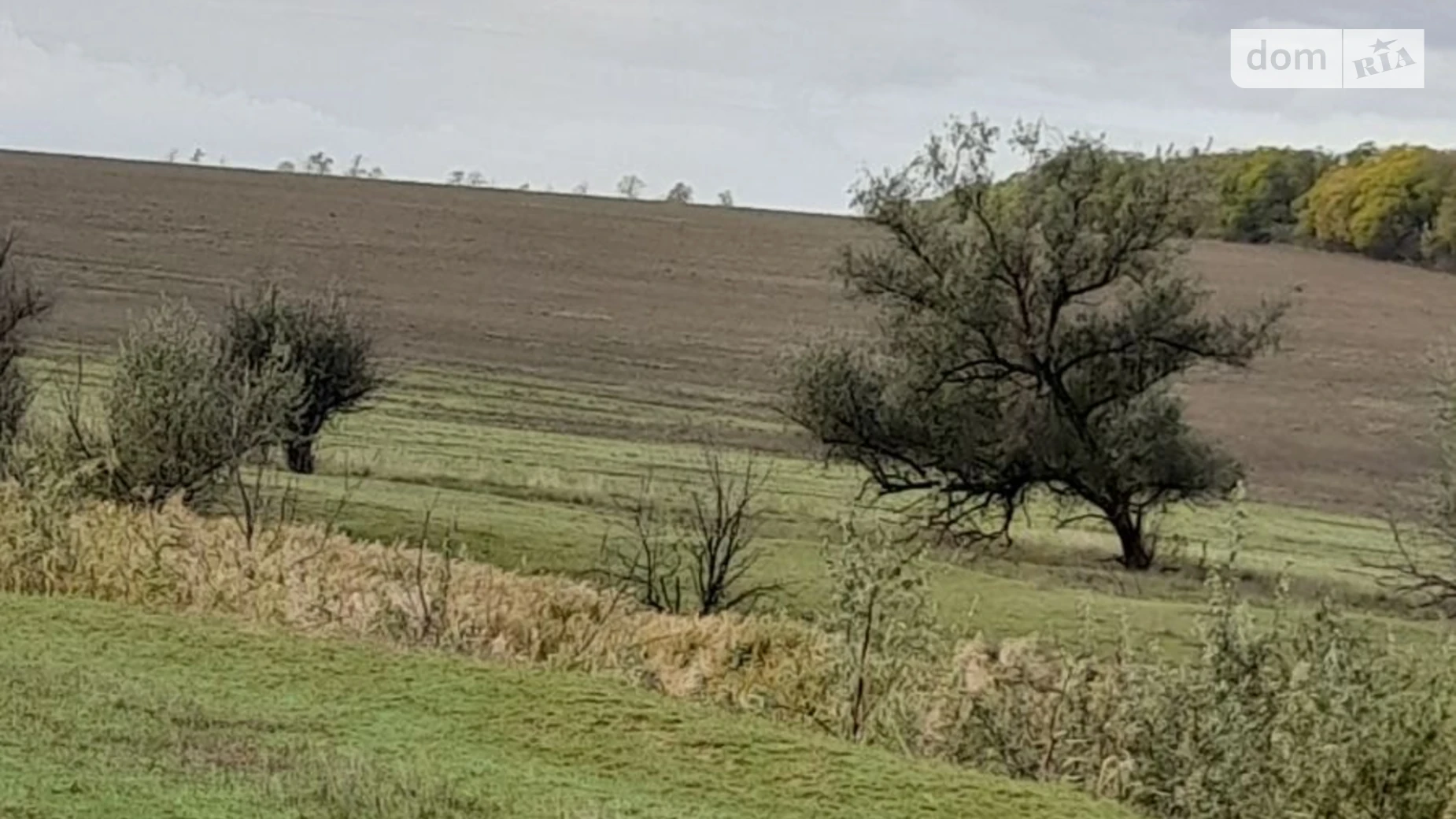 Здається в оренду земельна ділянка 17.8687 соток у Одеській області, цена: 55893 грн - фото 3