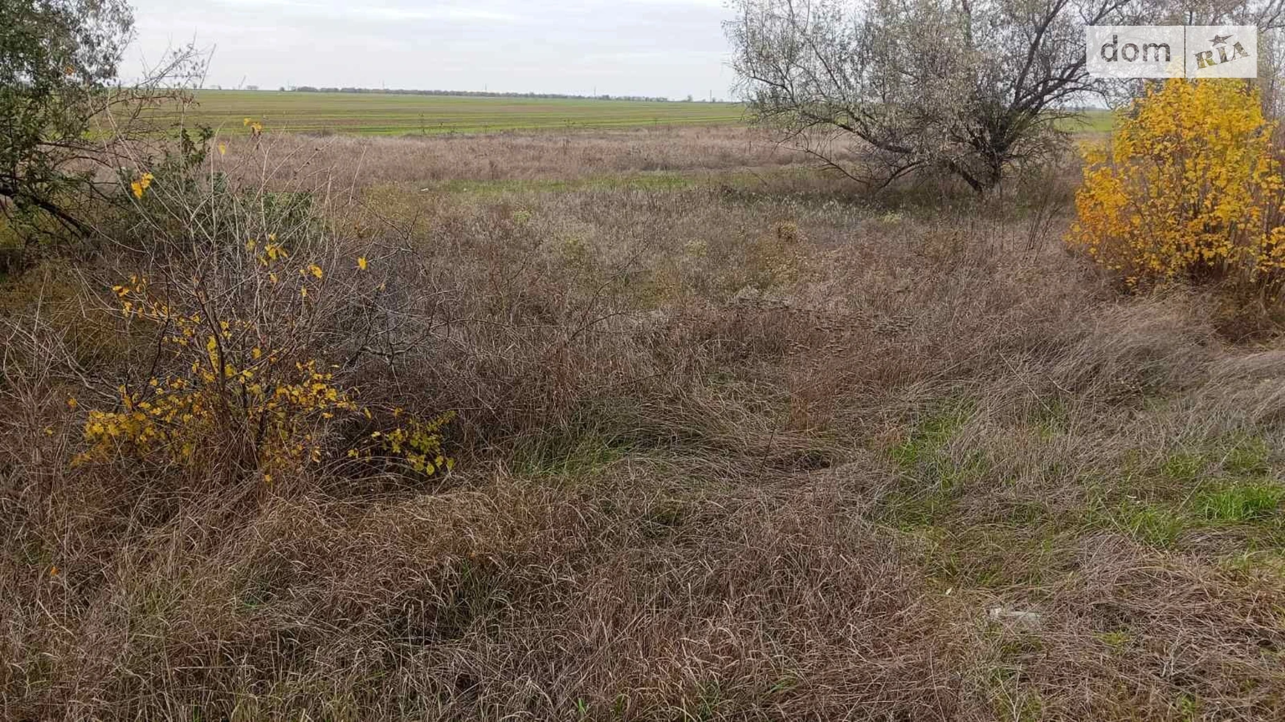 Здається в оренду земельна ділянка 0.4 соток у Одеській області, цена: 224942 грн - фото 3