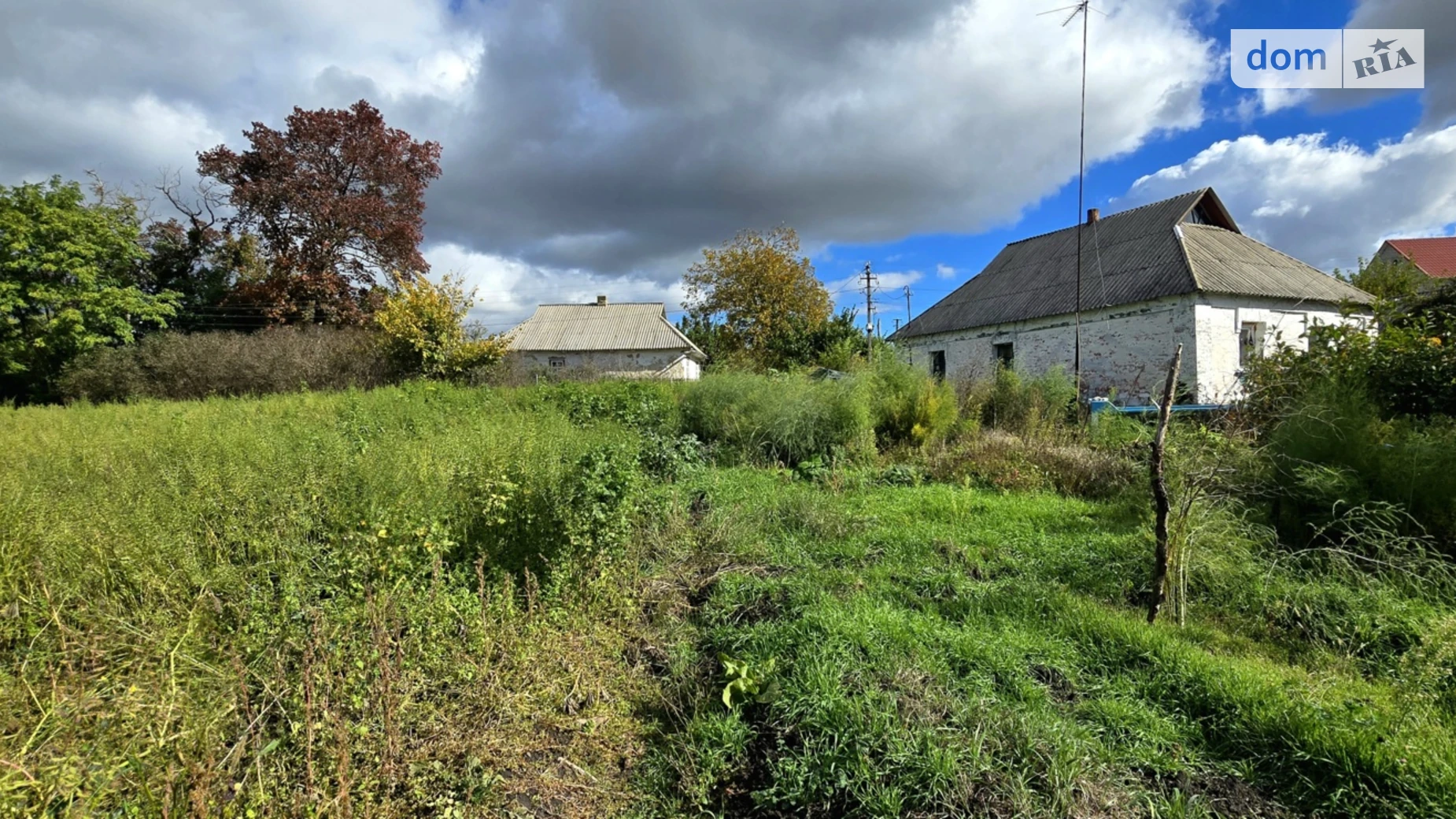 Продается земельный участок 25 соток в Киевской области, цена: 25000 $ - фото 2