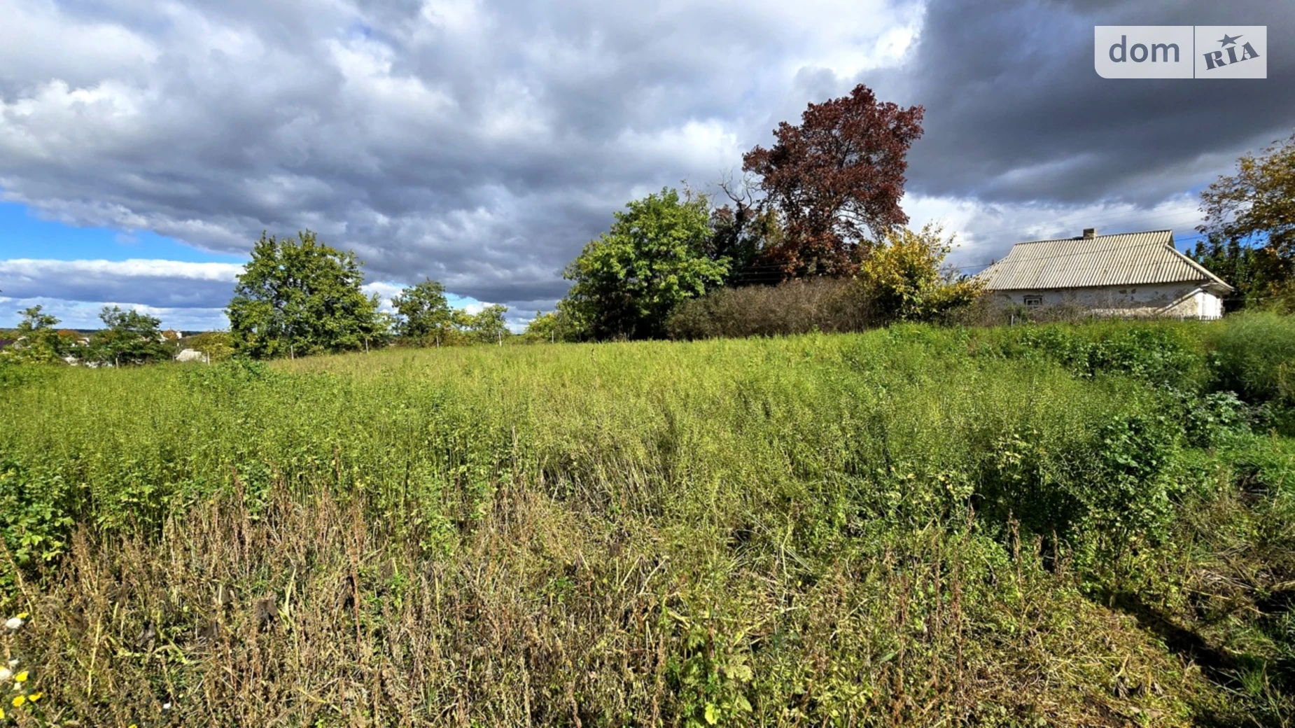 Продается земельный участок 25 соток в Киевской области, цена: 25000 $ - фото 3