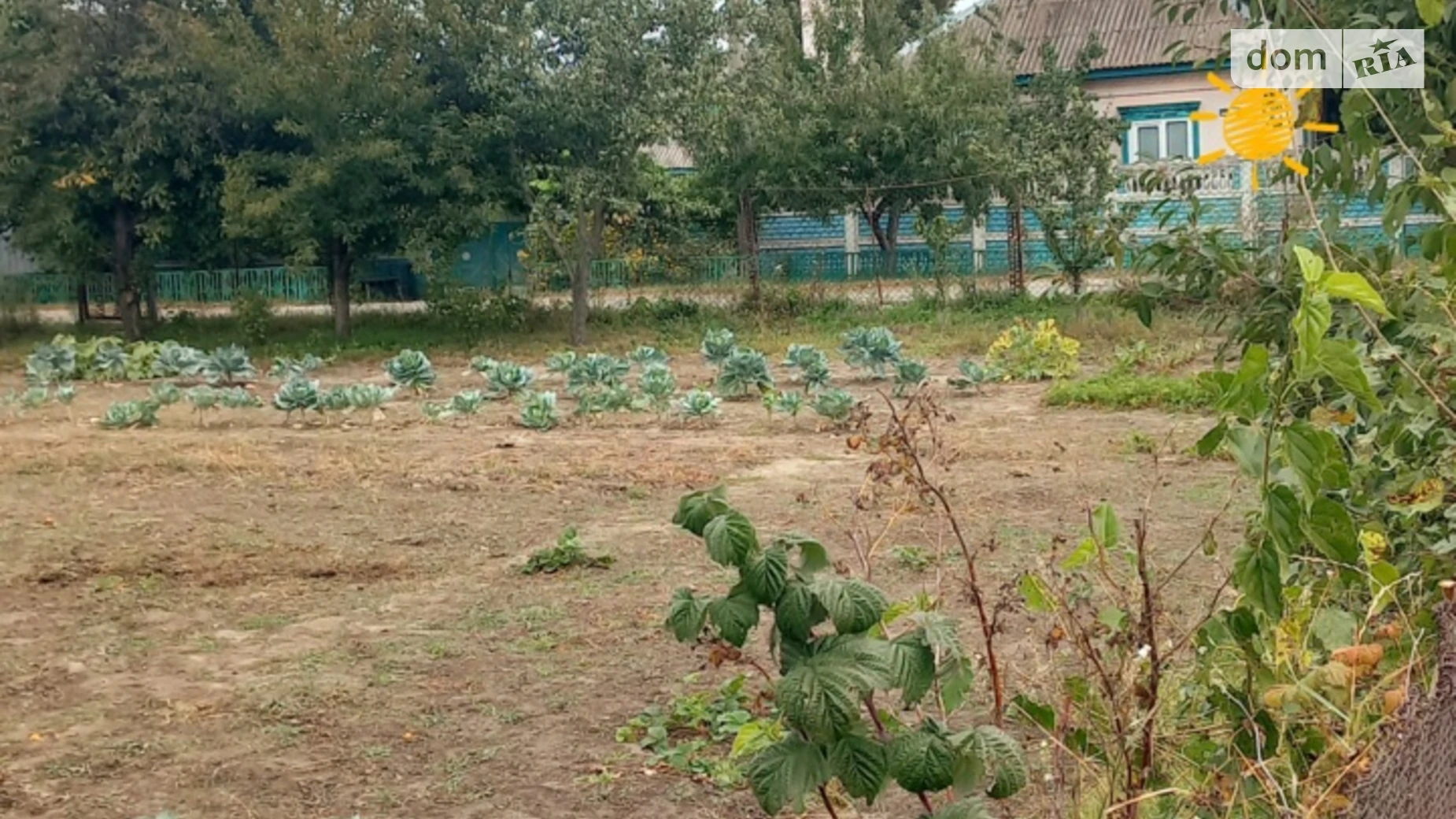 Продается одноэтажный дом 64.8 кв. м с участком, цена: 30000 $ - фото 4