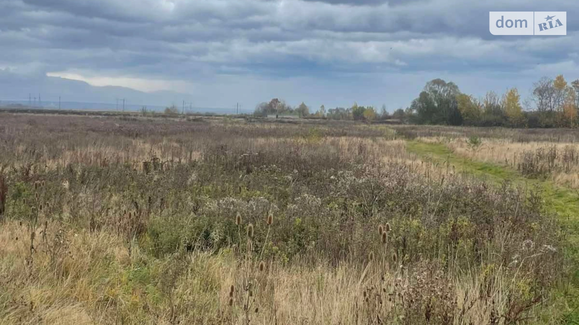 Здається в оренду земельна ділянка 11.7628 соток у Івано-Франківській області, цена: 3211 грн - фото 2