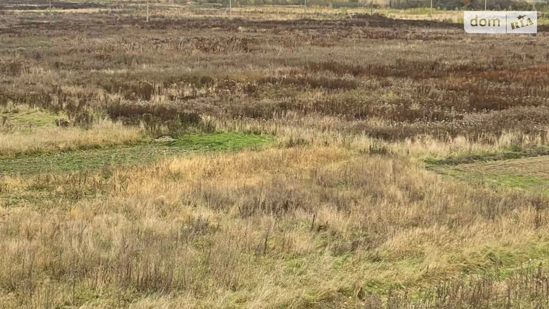 Здається в оренду земельна ділянка 11.4358 соток у Івано-Франківській області, цена: 22792 грн - фото 3