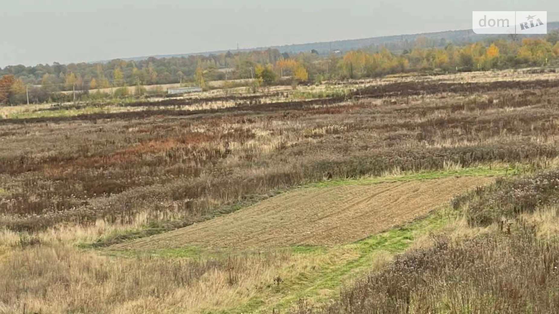 Здається в оренду земельна ділянка 11.4358 соток у Івано-Франківській області, цена: 22792 грн - фото 4