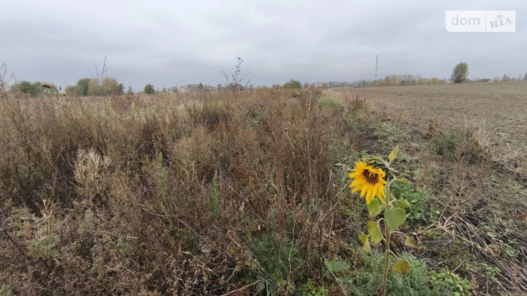 Продається земельна ділянка 25 соток у Київській області, цена: 8000 $ - фото 3