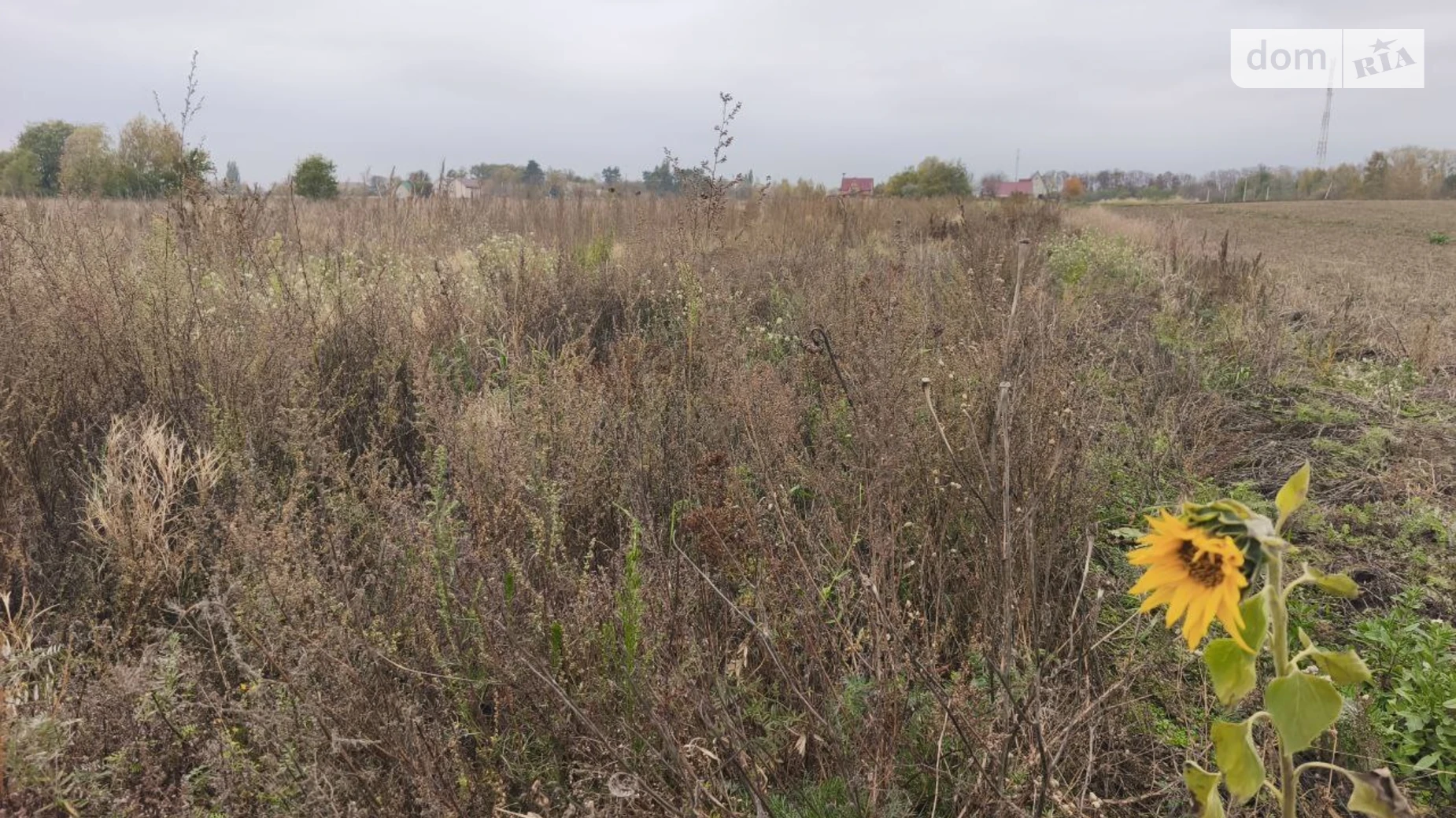 Продається земельна ділянка 25 соток у Київській області, цена: 8000 $ - фото 4