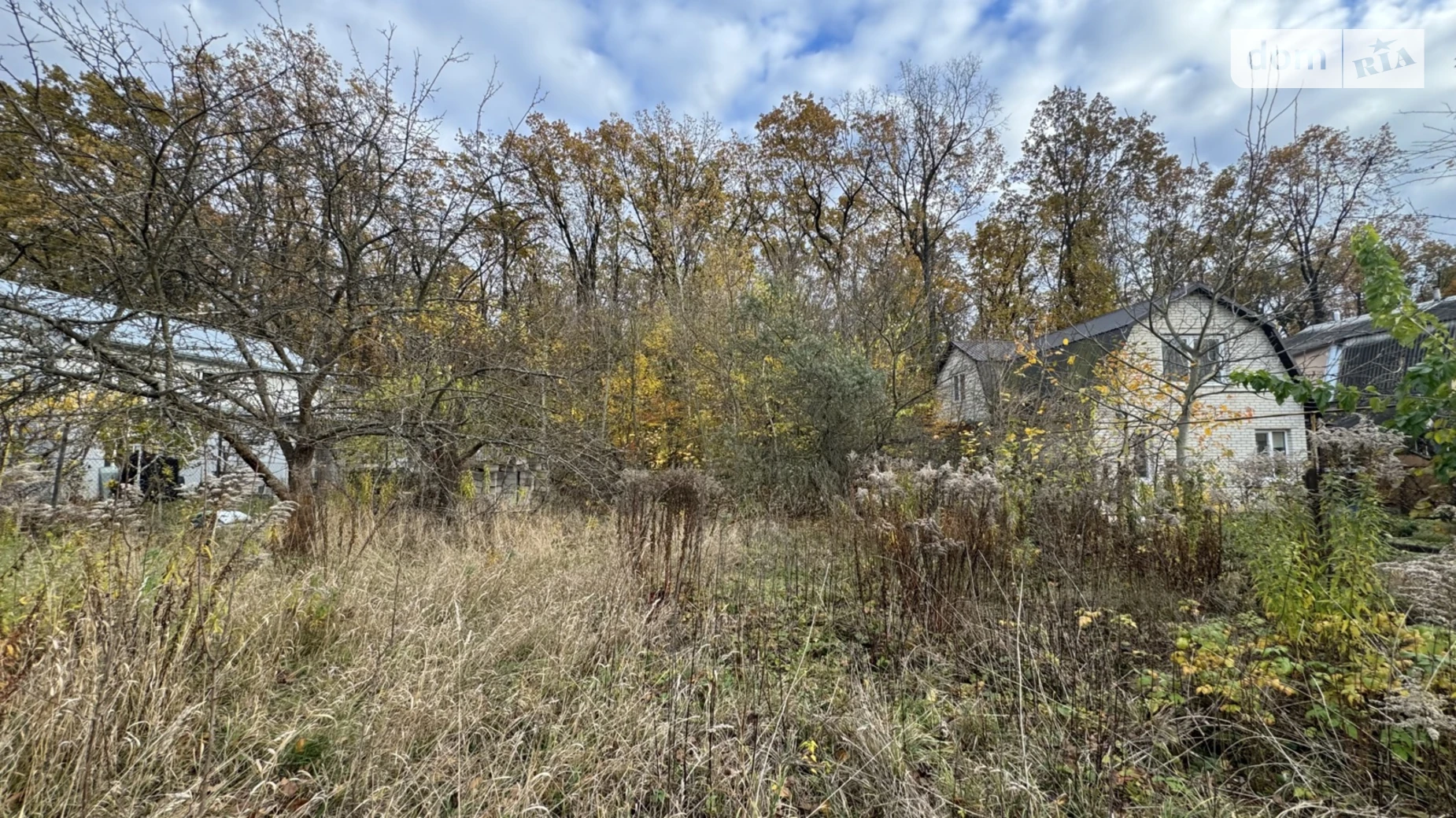 мас. Поляна Прибужское (Шкуринци), цена: 45000 $ - фото 3