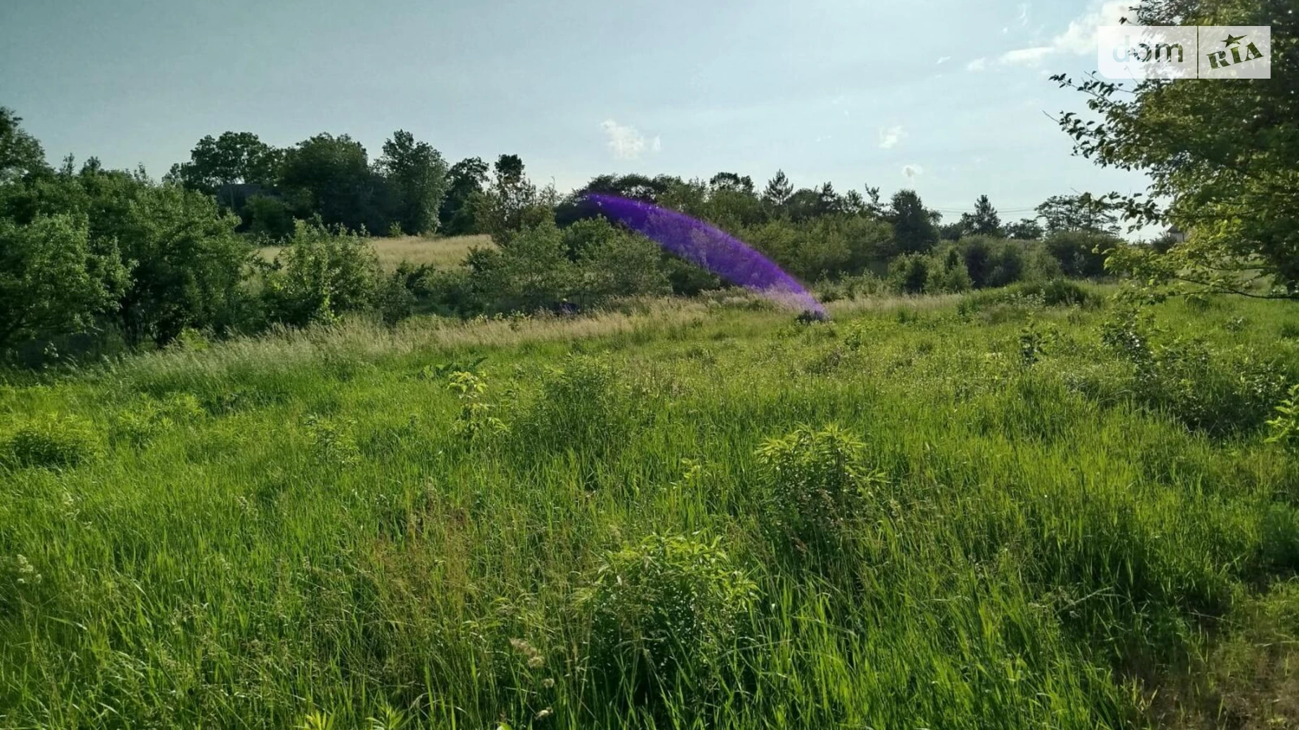 Продается земельный участок 25 соток в Винницкой области, цена: 25000 $ - фото 4