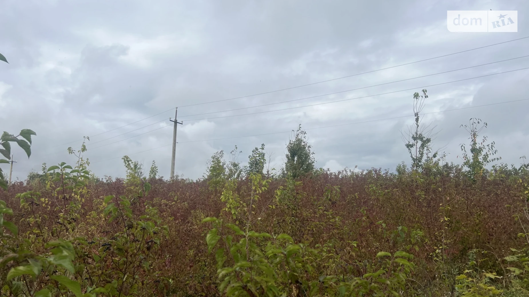 Продається земельна ділянка 60 соток у Хмельницькій області, цена: 45000 $ - фото 3