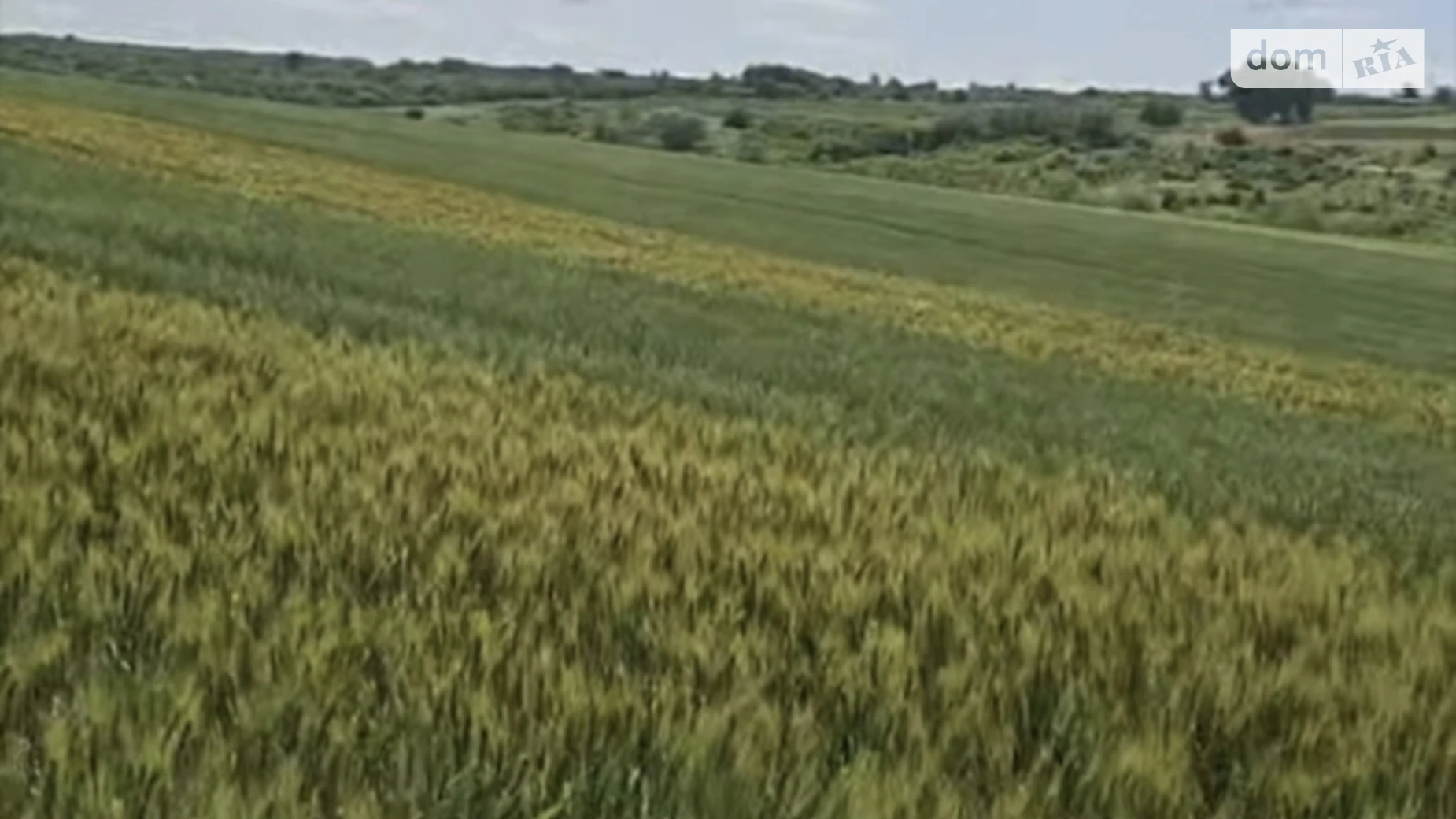 Продается земельный участок 60 соток в Винницкой области, цена: 39000 $ - фото 2