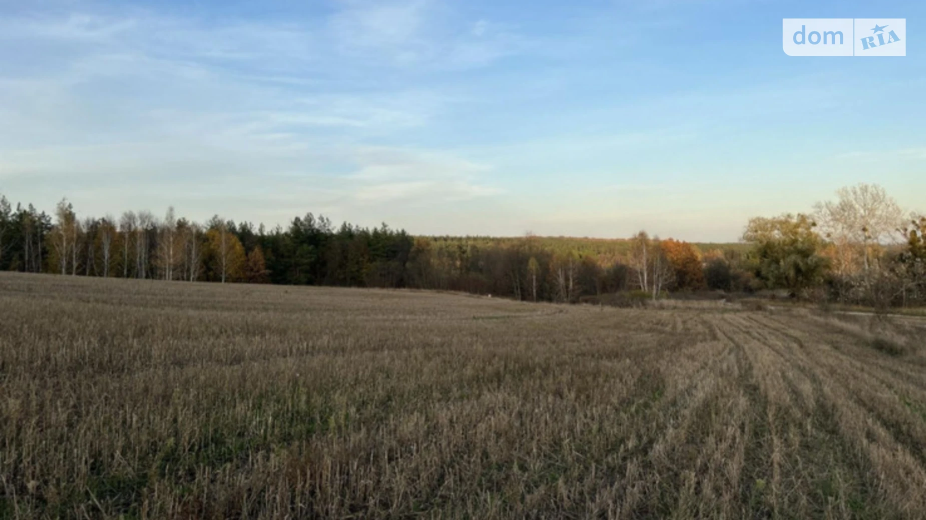 ул. Набережная вулиця Ходосовка (Обухов), цена: 299200 $ - фото 5