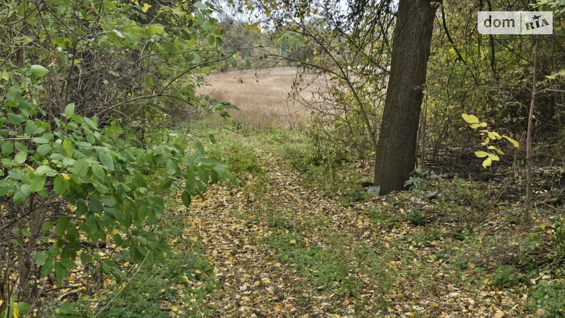 Продается одноэтажный дом 56 кв. м с террасой, цена: 22000 $ - фото 3