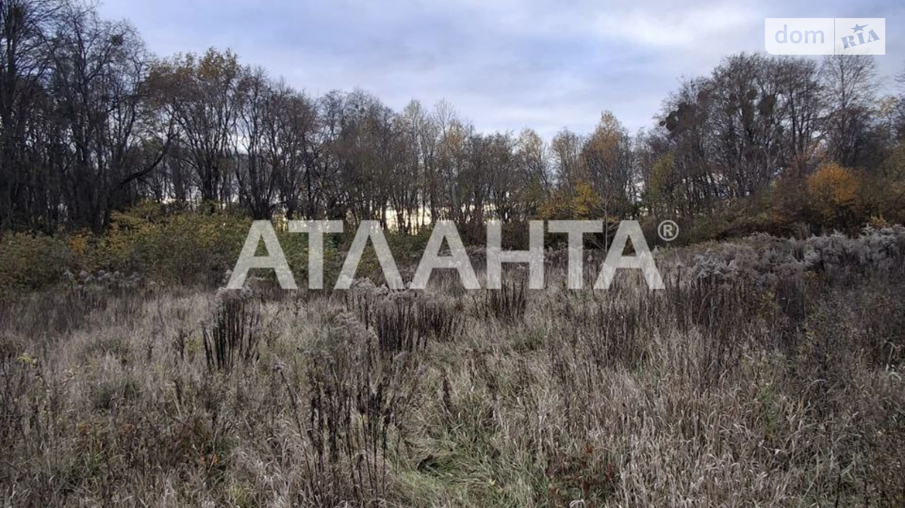 Продается земельный участок 27 соток в Винницкой области, цена: 22000 $ - фото 3