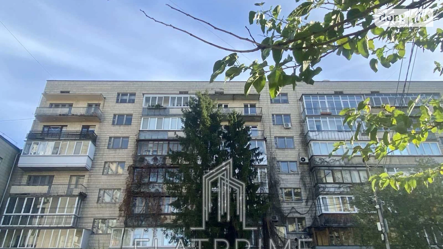 Продается 2-комнатная квартира 66 кв. м в Киеве, ул. Шелковичная, 29 - фото 5