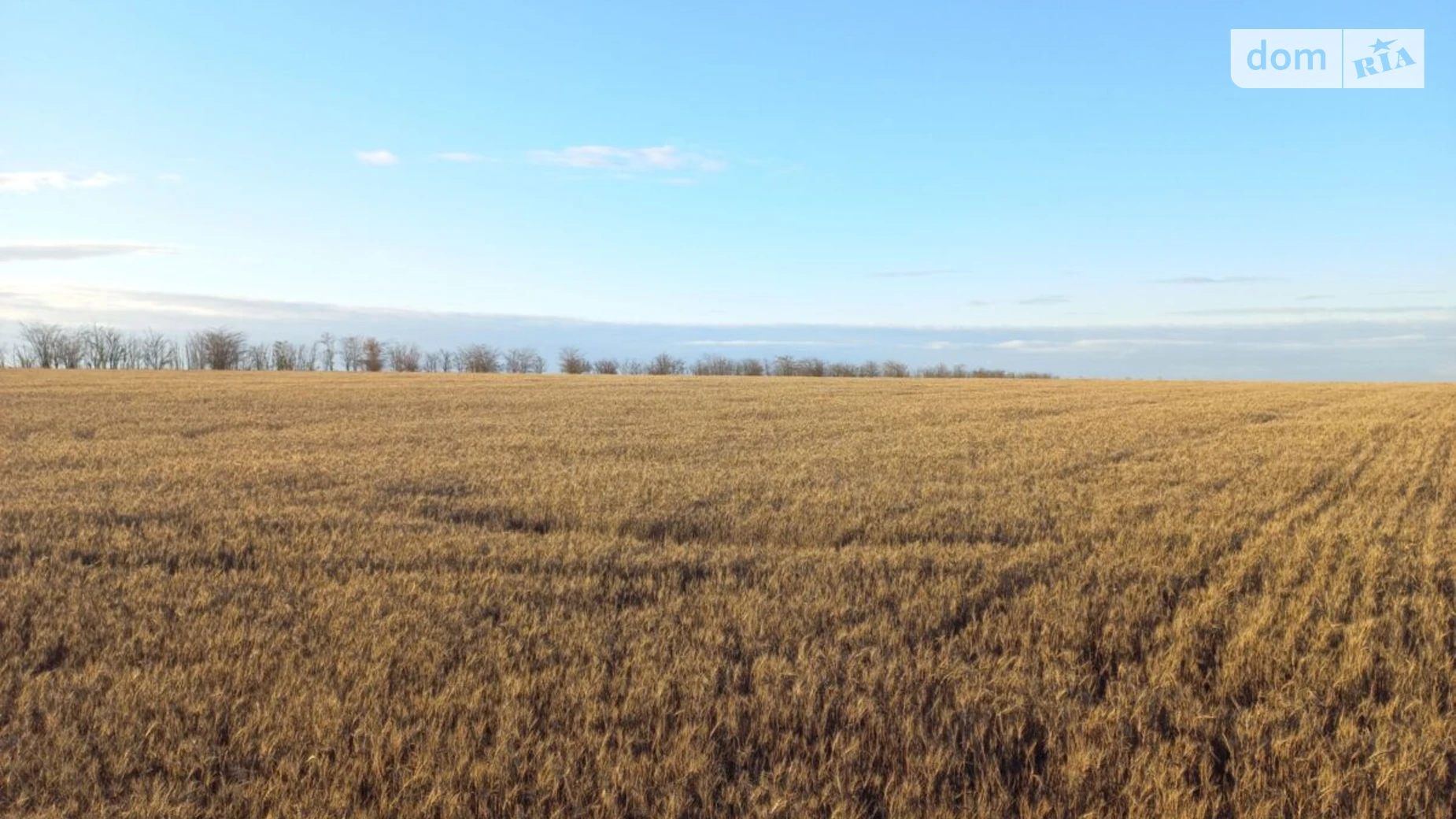 Музиковка, цена: 63651 грн - фото 3