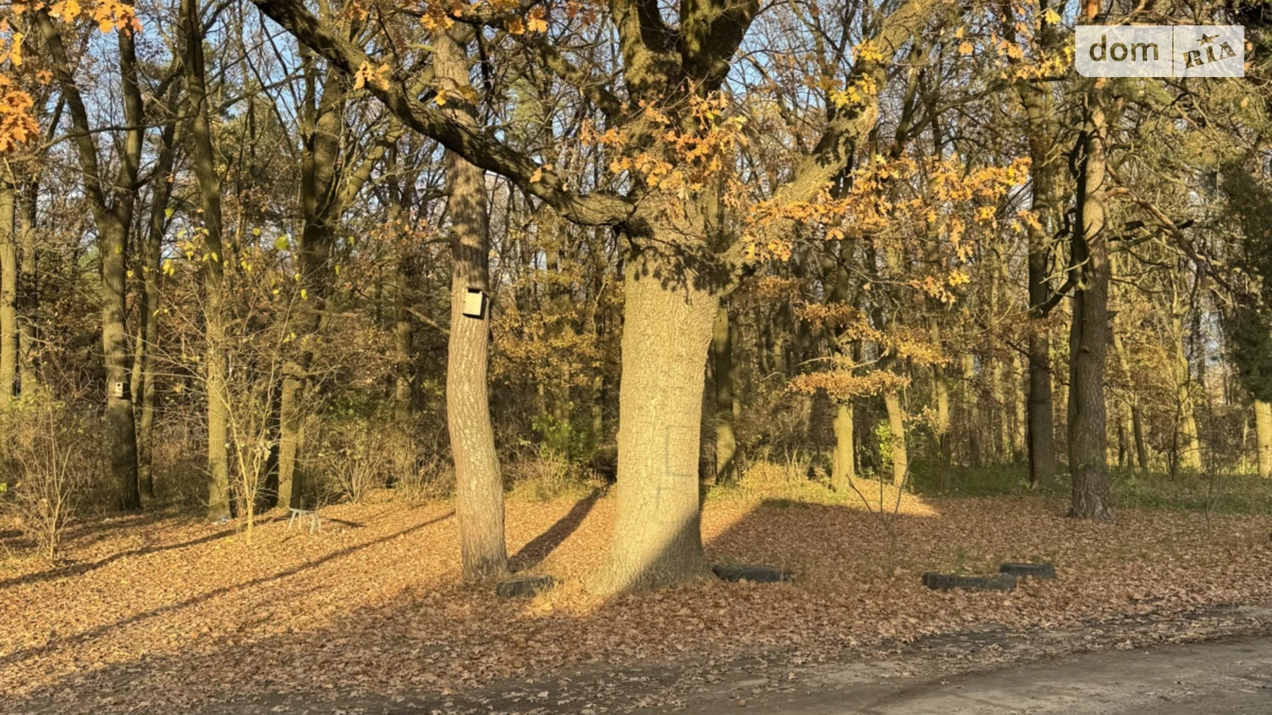 Здається в оренду будинок 2 поверховий 130 кв. м з садом, цена: 42000 грн - фото 5