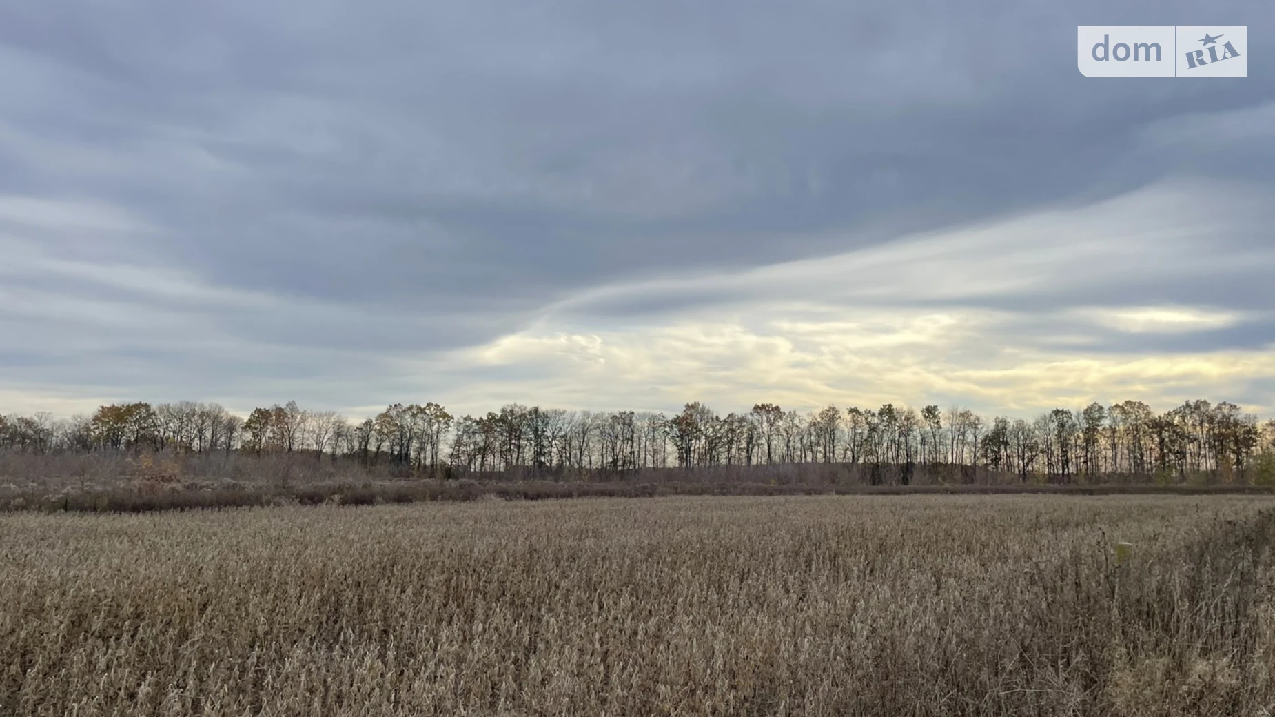 Продается земельный участок 8 соток в Винницкой области, цена: 16500 $ - фото 4