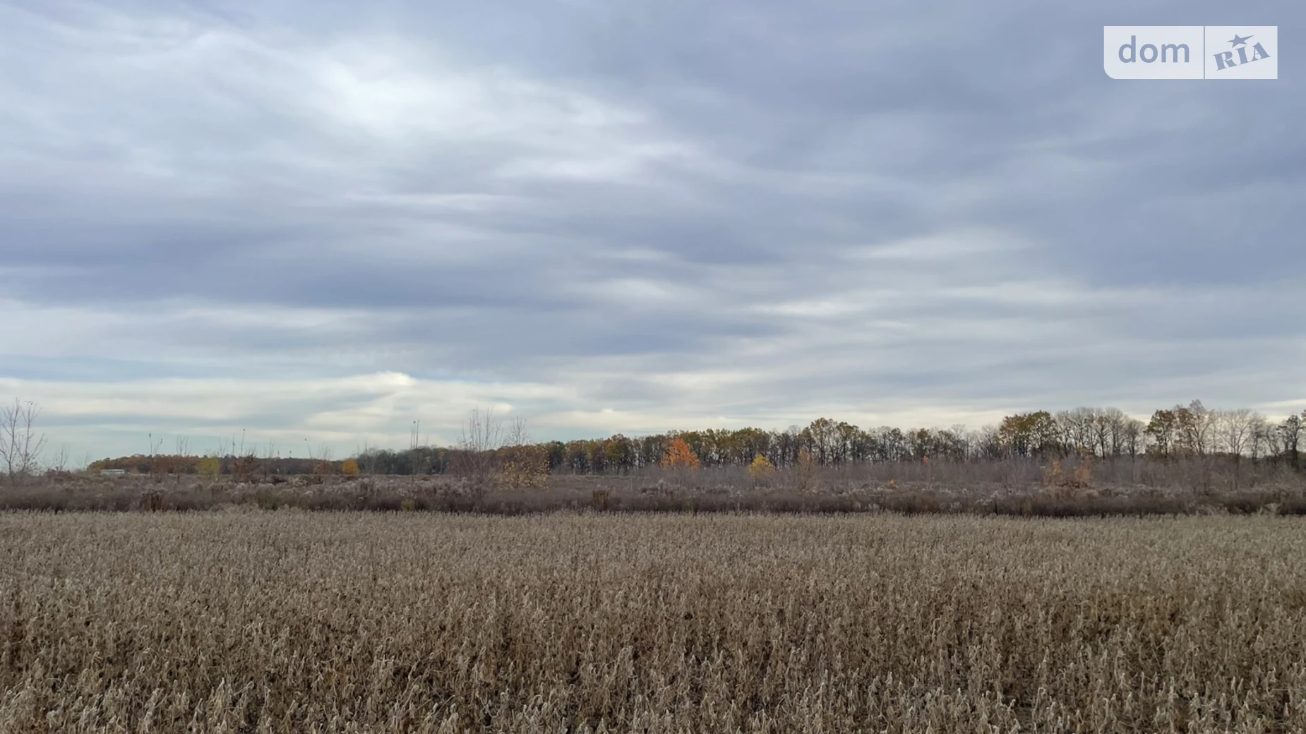 Продается земельный участок 8 соток в Винницкой области, цена: 16500 $ - фото 5