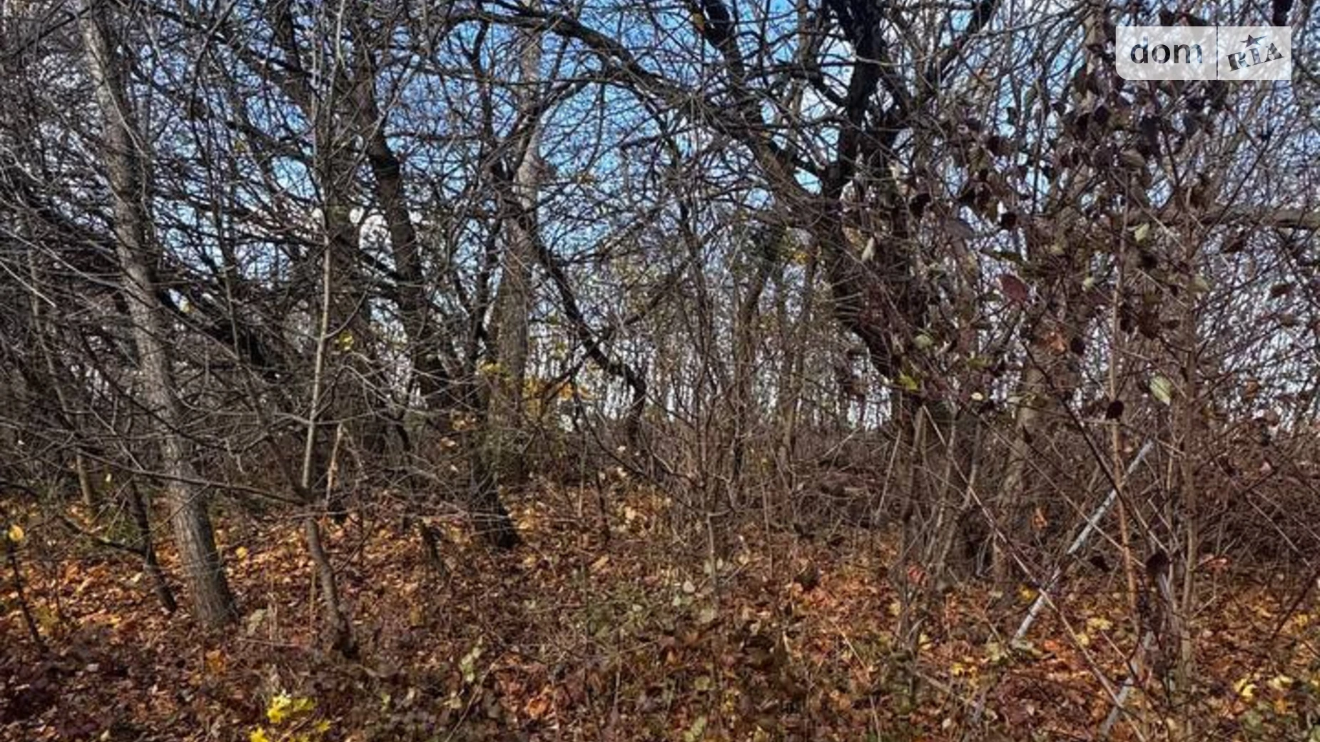 Продается земельный участок 10 соток в Львовской области, цена: 105000 $ - фото 4