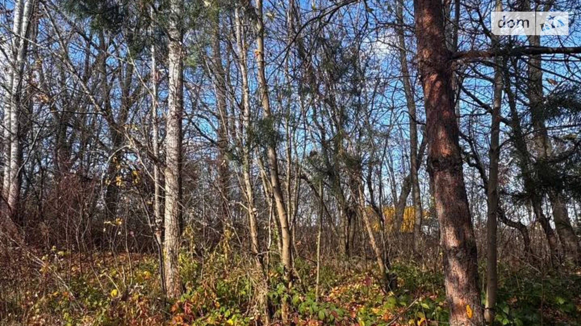 Продается земельный участок 10 соток в Львовской области, цена: 105000 $ - фото 5