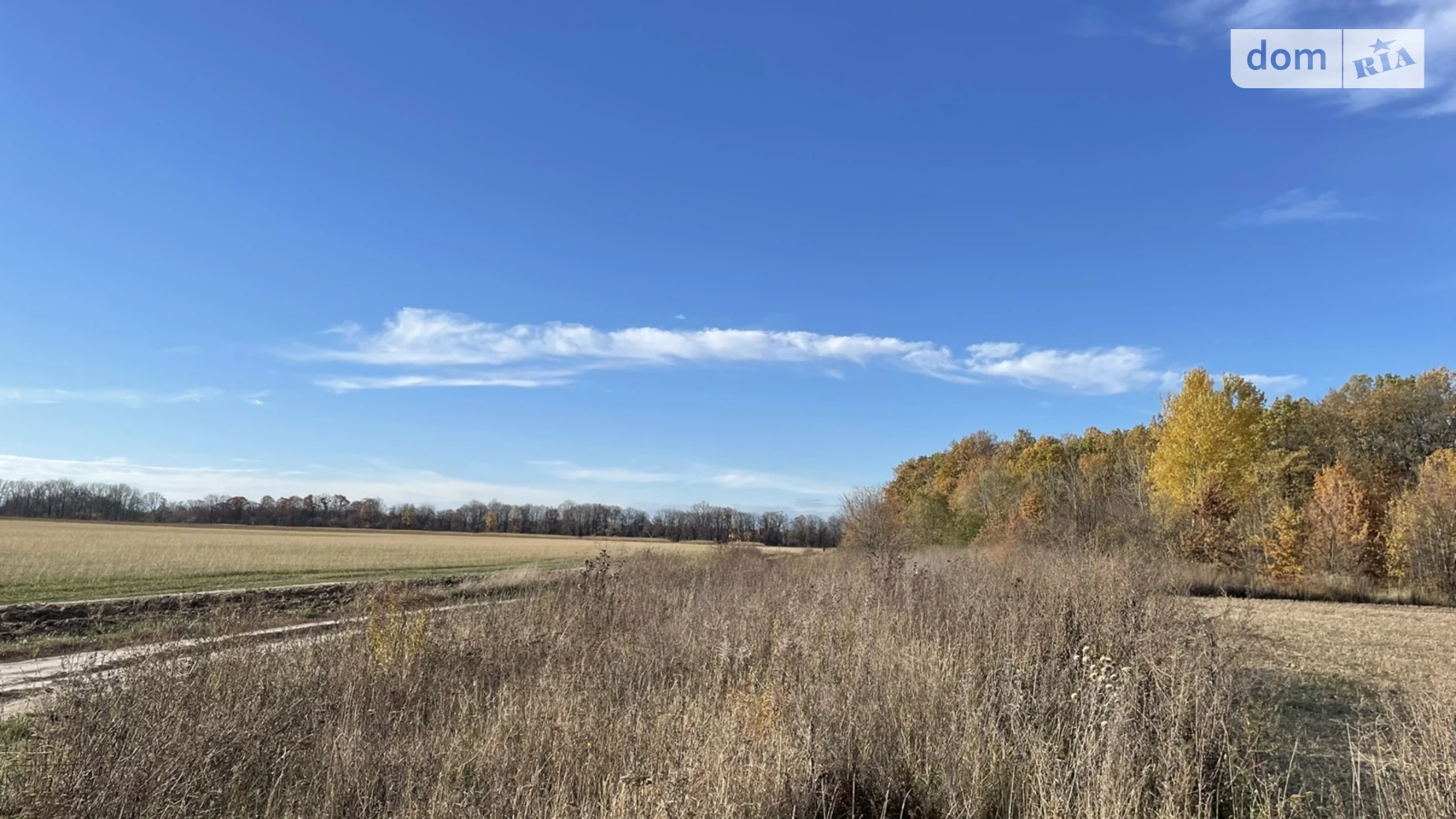 Продается земельный участок 20 соток в Винницкой области, цена: 40500 $ - фото 2