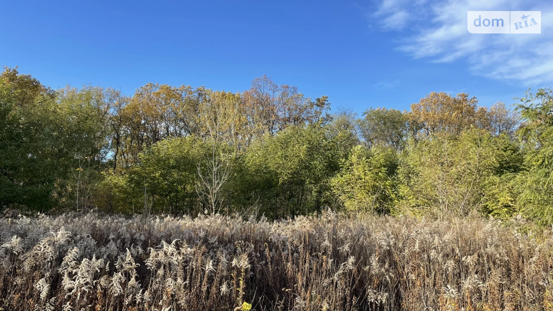 Продается земельный участок 20 соток в Винницкой области, цена: 40500 $ - фото 3