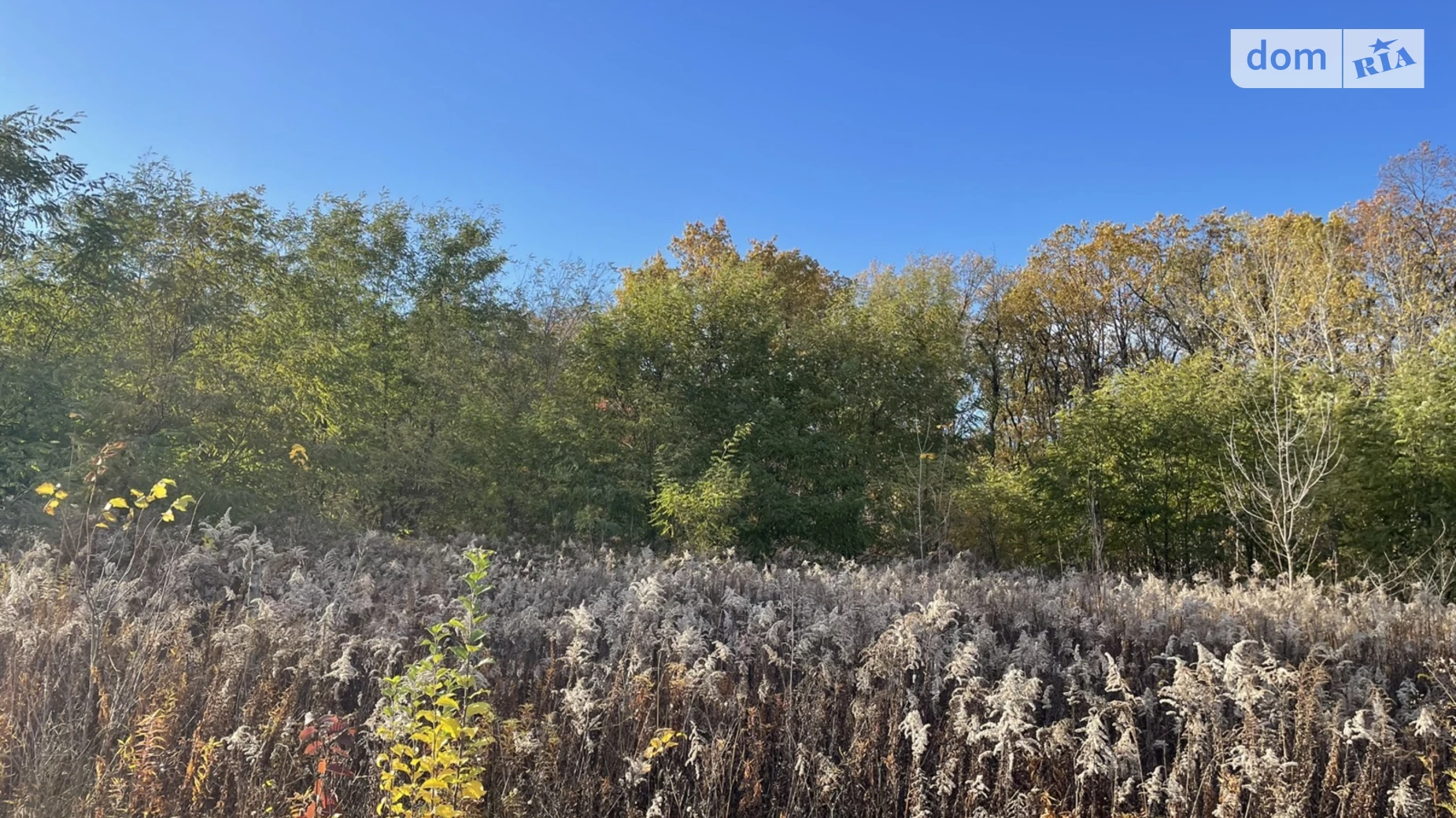 Продается земельный участок 20 соток в Винницкой области, цена: 40500 $ - фото 5